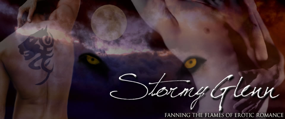 Stormy Glenn, Fanning the Flames of Erotic Romance